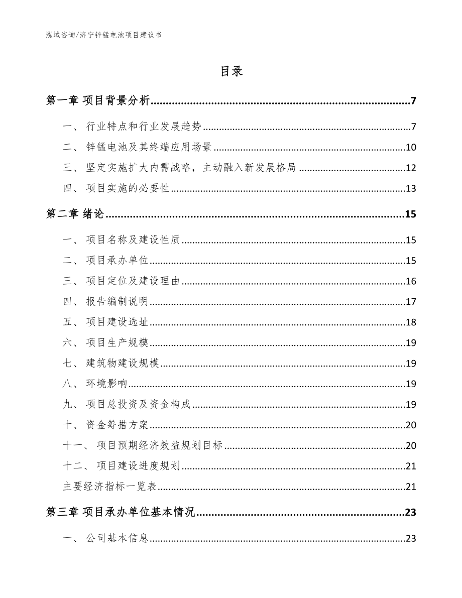 济宁锌锰电池项目建议书【范文】_第1页