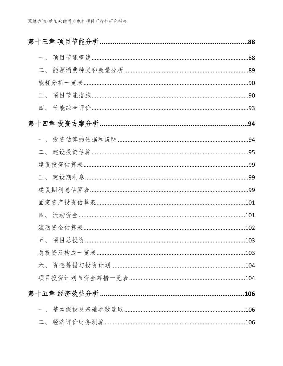 益阳永磁同步电机项目可行性研究报告（模板范本）_第5页