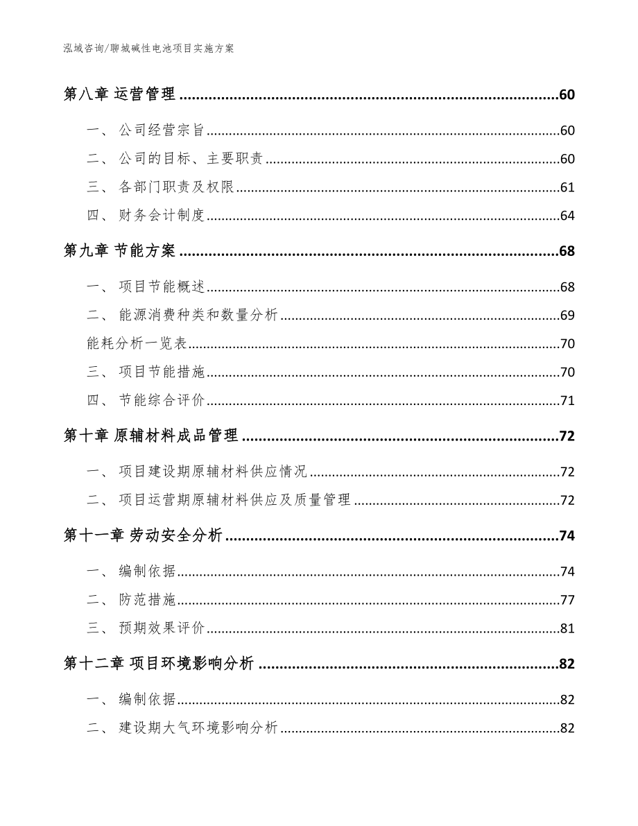 聊城碱性电池项目实施方案【范文模板】_第4页