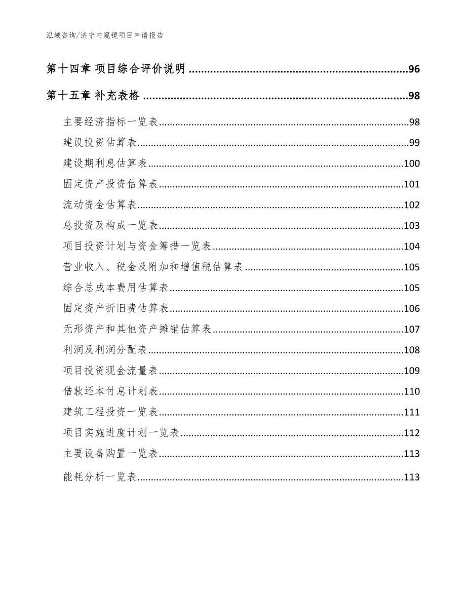 济宁内窥镜项目申请报告模板_第5页