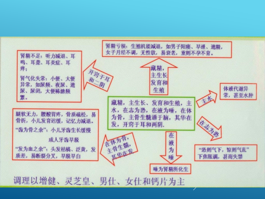 “肾”与健康电子教案_第4页