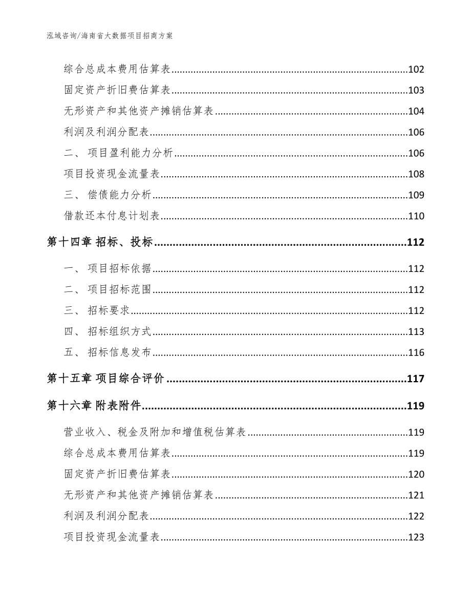 海南省大数据项目招商【模板范本】_第5页