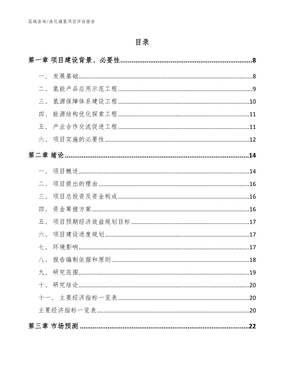 液化储氢项目评估报告_模板_第2页