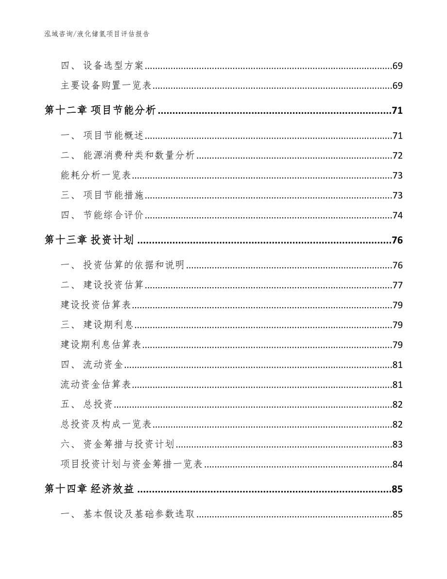 液化储氢项目评估报告_模板_第5页