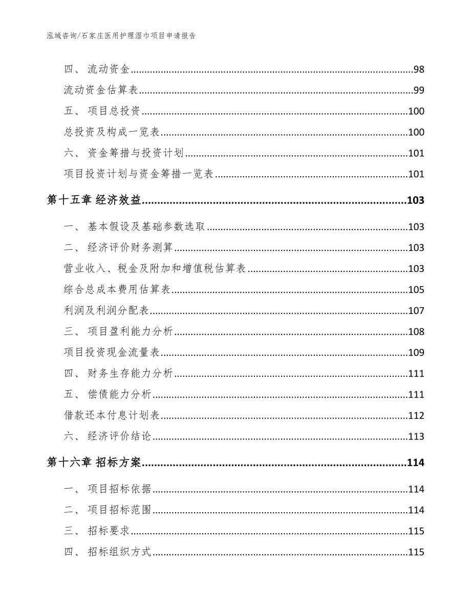 石家庄医用护理湿巾项目申请报告模板_第5页