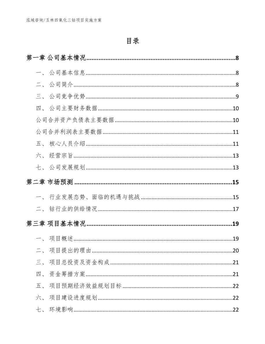 玉林四氧化三钴项目实施方案（范文模板）_第1页