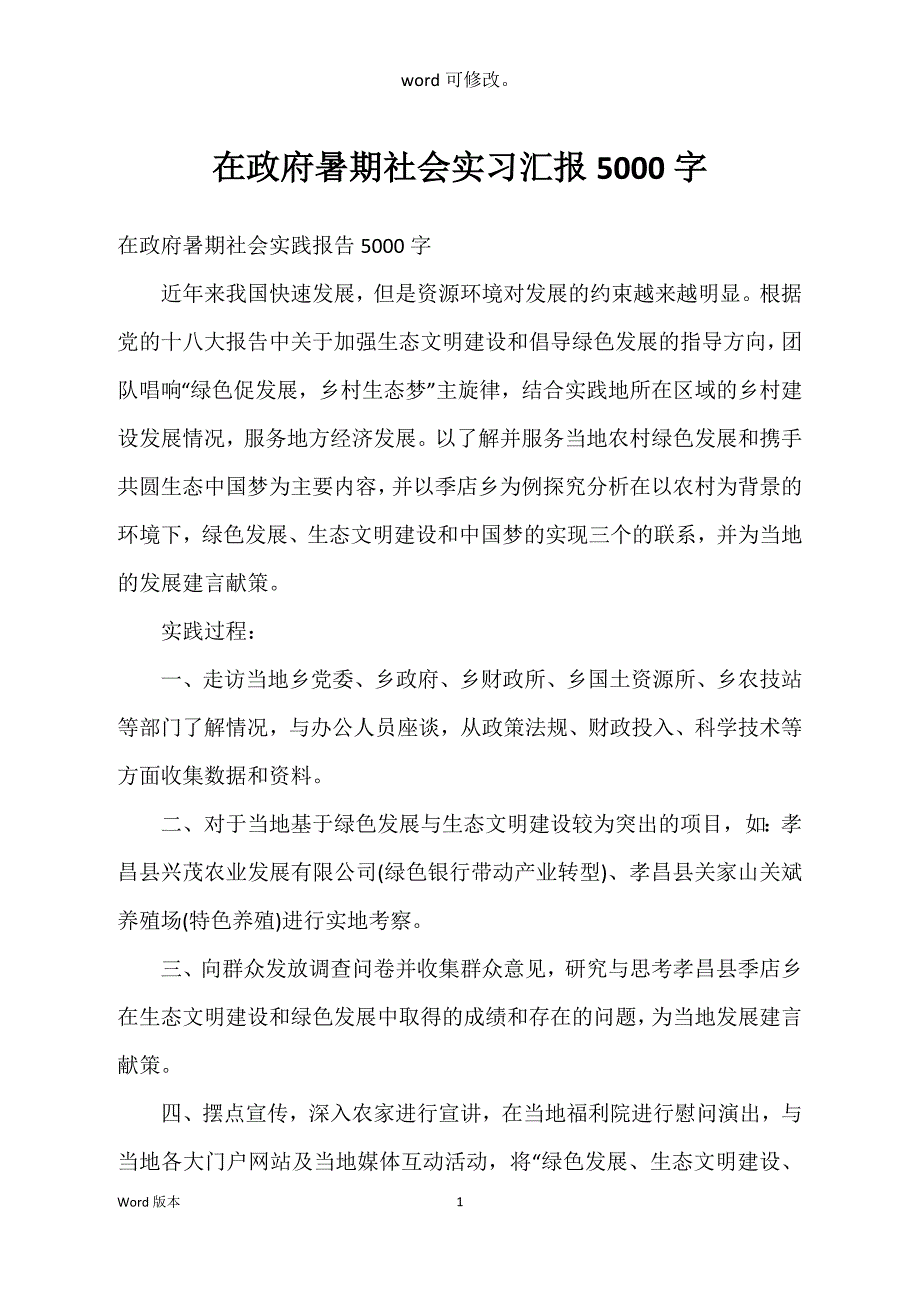 在政府暑期社会实习汇报5000字_第1页