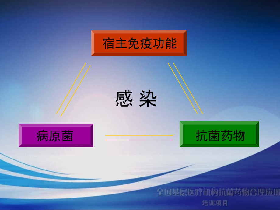 造血干细胞移植后的感染黄晓军教案资料_第2页