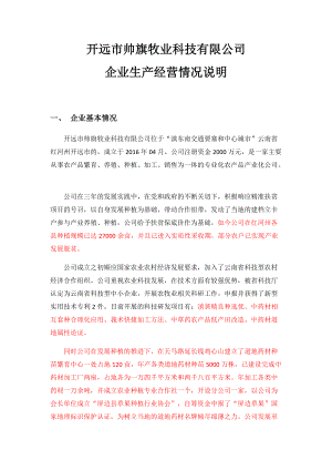 2019年红河州“专精特新”中小企业项目申报材料范本2