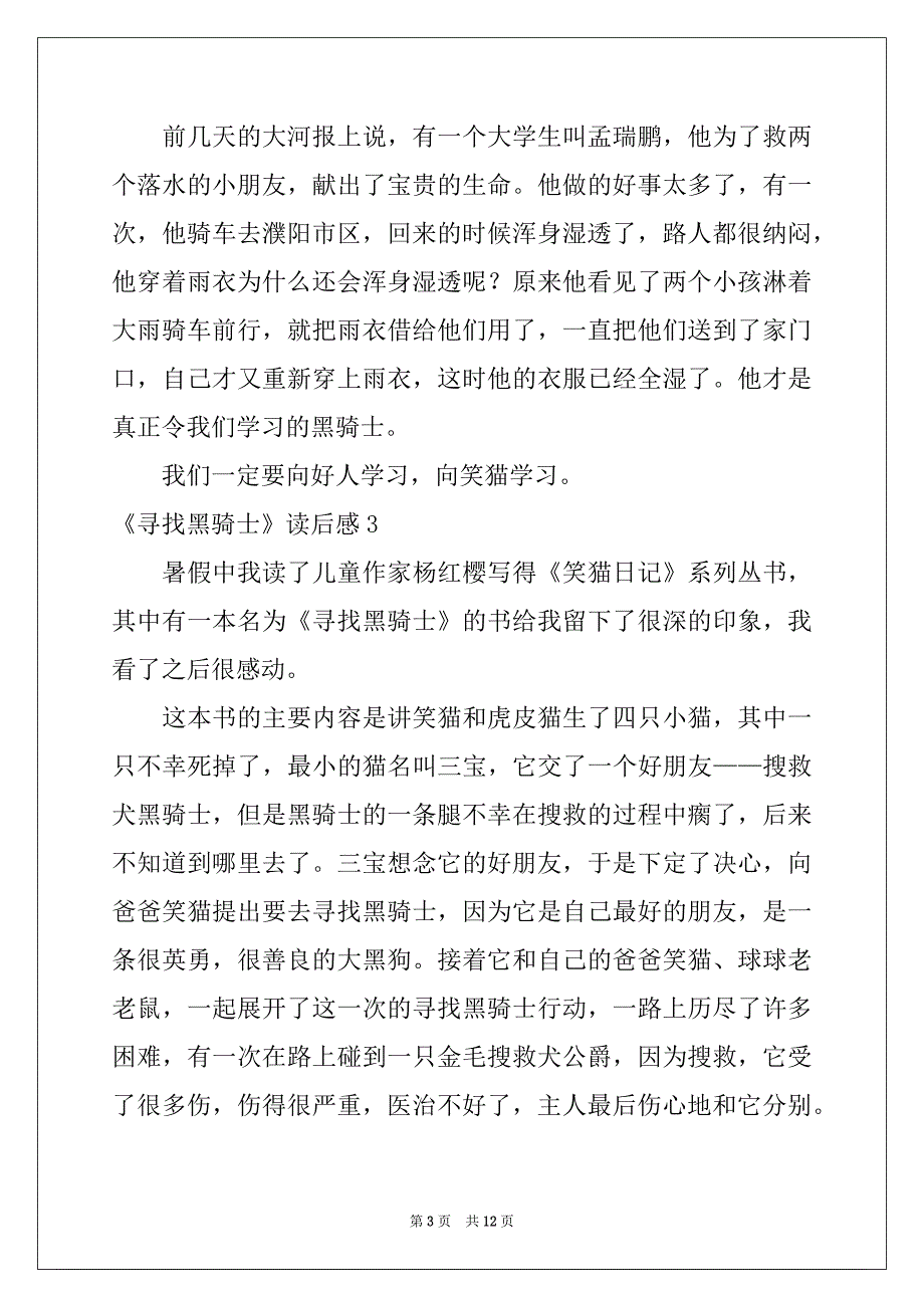 2022-2023年《寻找黑骑士》读后感例文_第3页