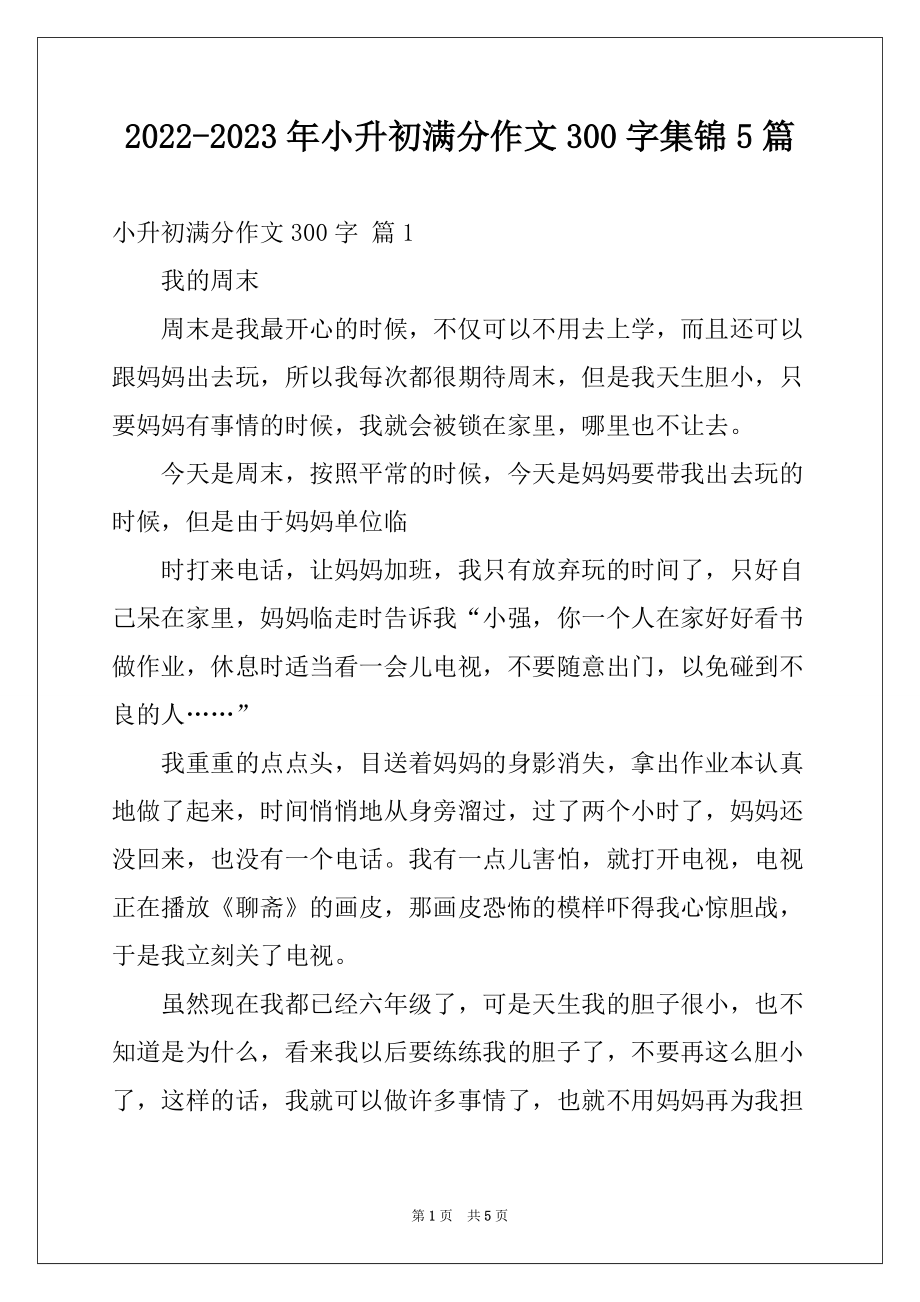 2022-2023年小升初满分作文300字集锦5篇例文_第1页