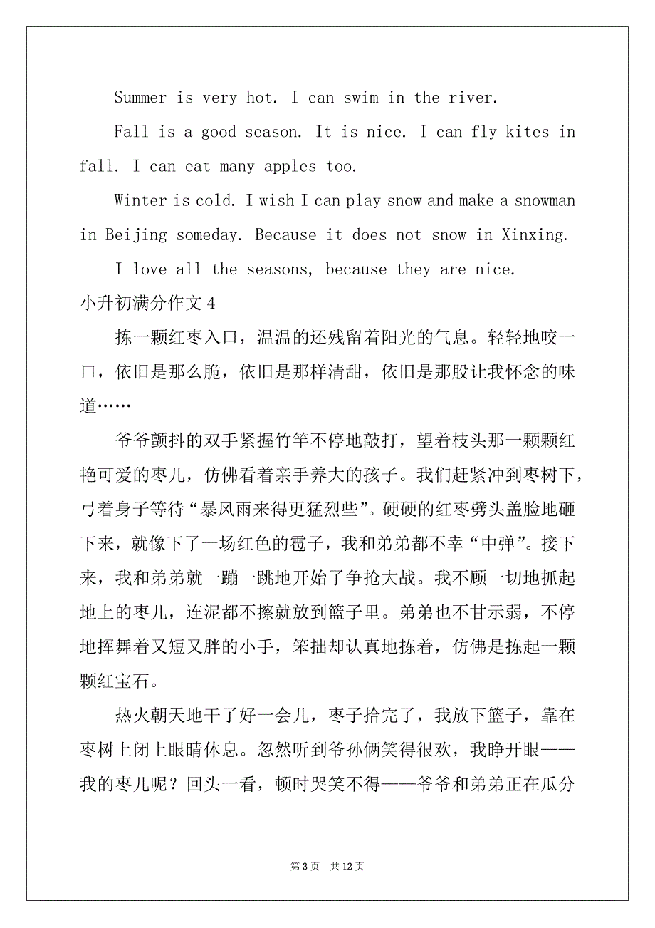 2022-2023年小升初满分作文例文5_第3页