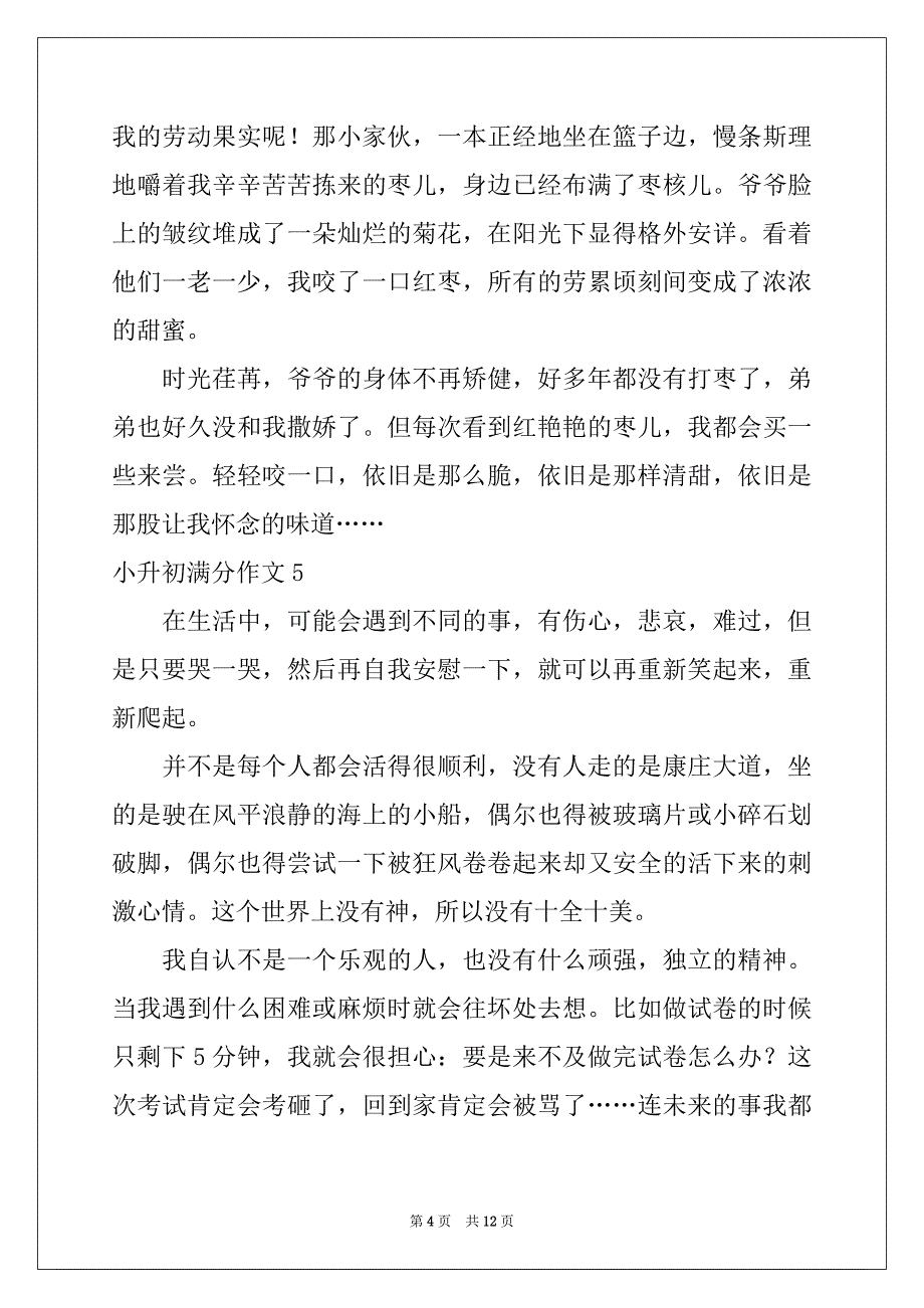 2022-2023年小升初满分作文例文5_第4页