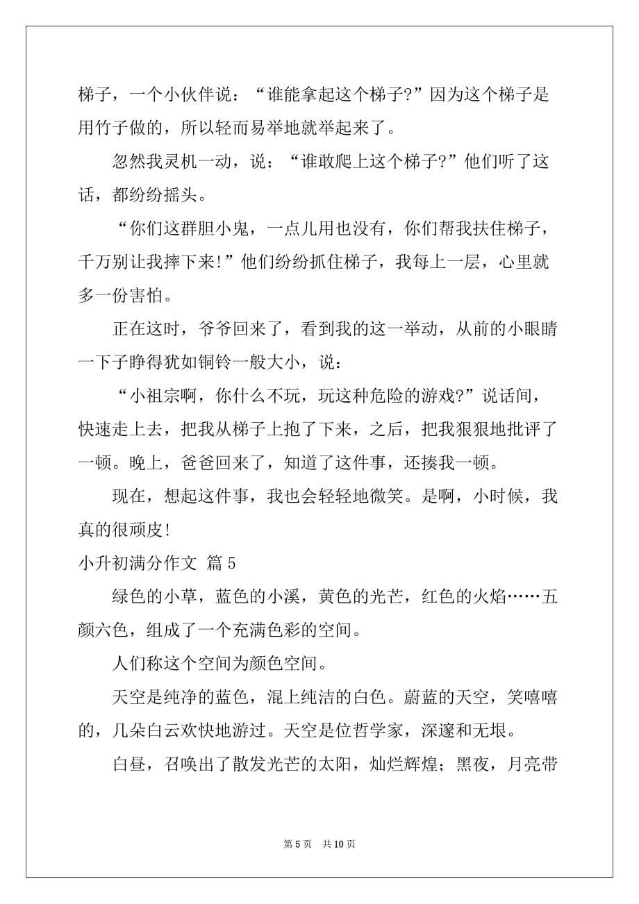 2022-2023年小升初满分作文集锦7篇_第5页