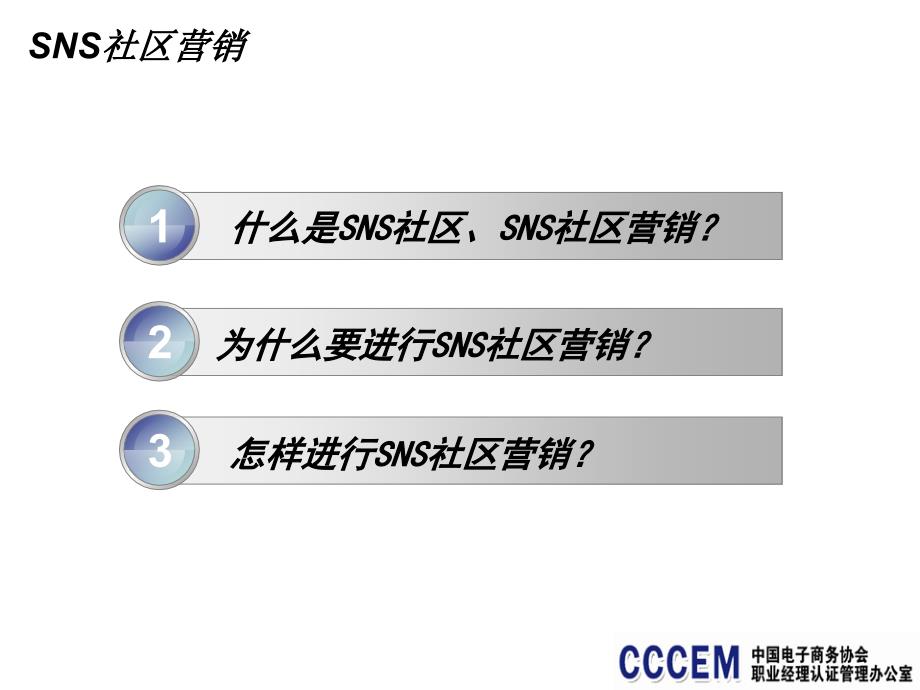 4 SNS社区营销 电子商务职业经理人系列教程幻灯片资料_第2页