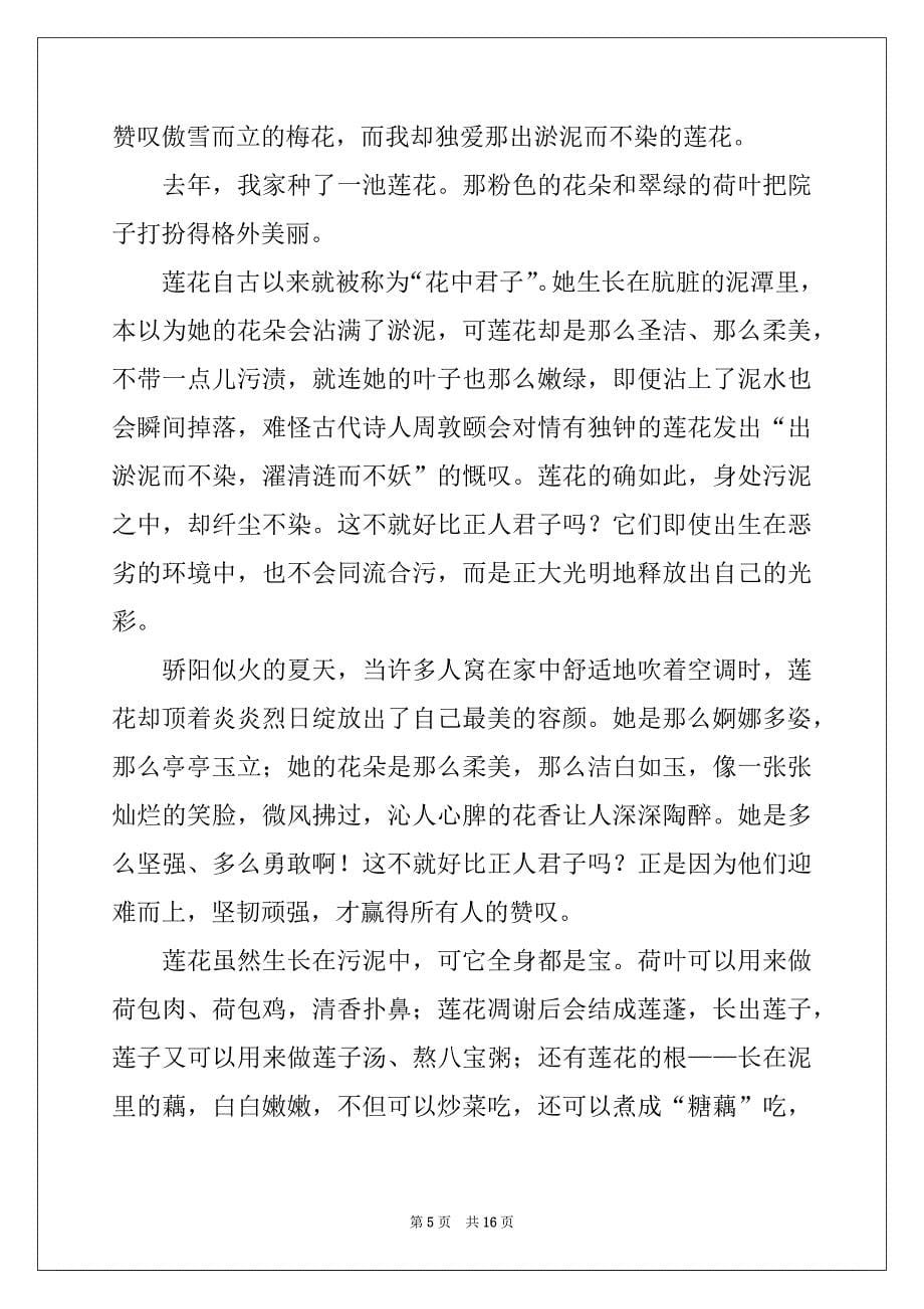 2022-2023年小升初的优秀作文（精选12篇）_第5页