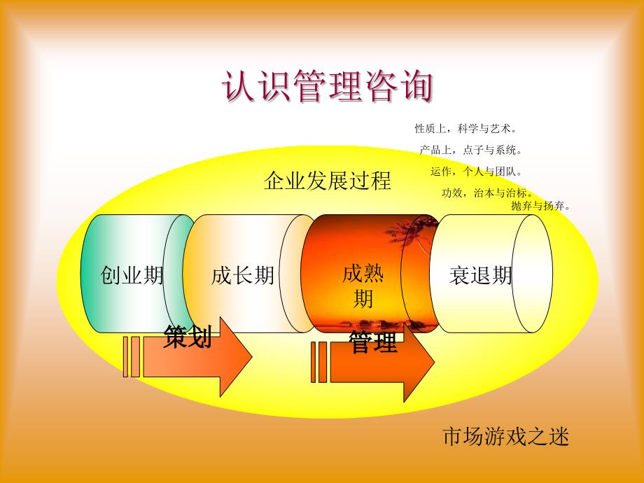 9086顾问全国统一认证班教程管理顾问2研究报告_第3页