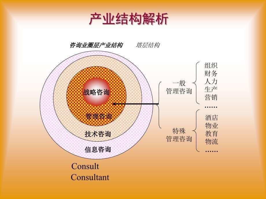 9086顾问全国统一认证班教程管理顾问2研究报告_第5页