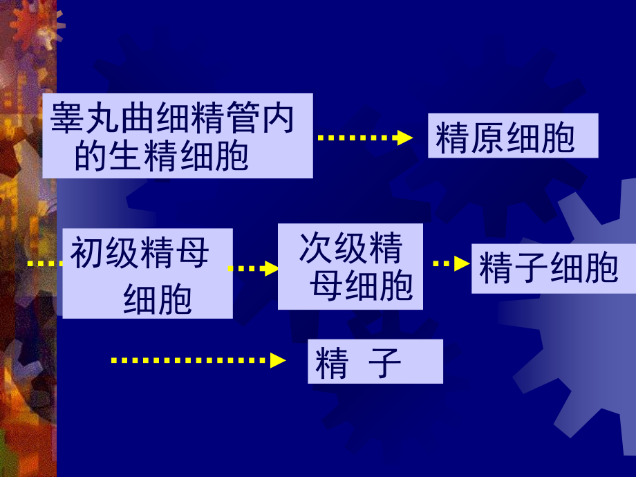 精液检查分析8研究报告_第5页