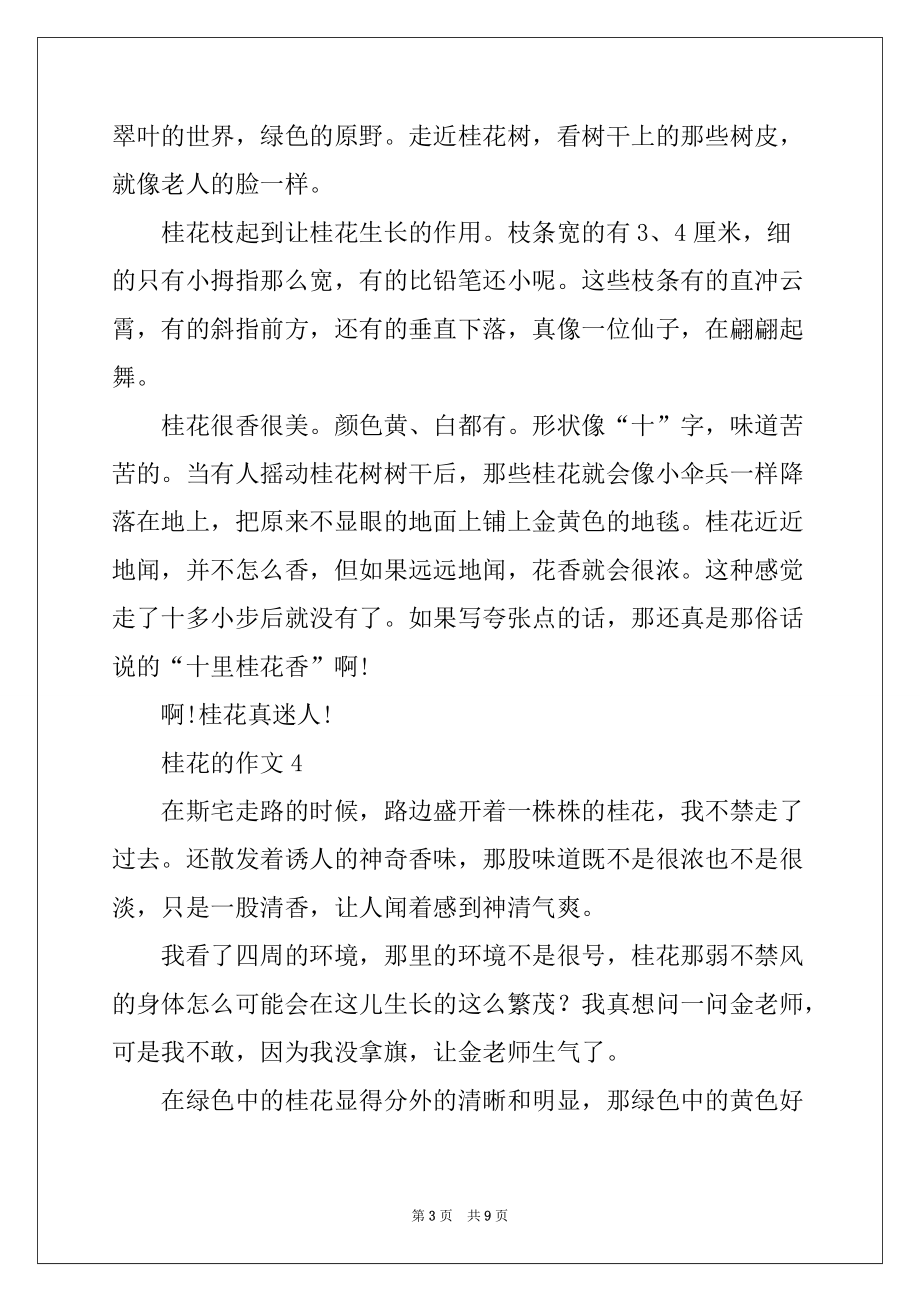 2022-2023年关于桂花的作文300字（通用10篇）_第3页