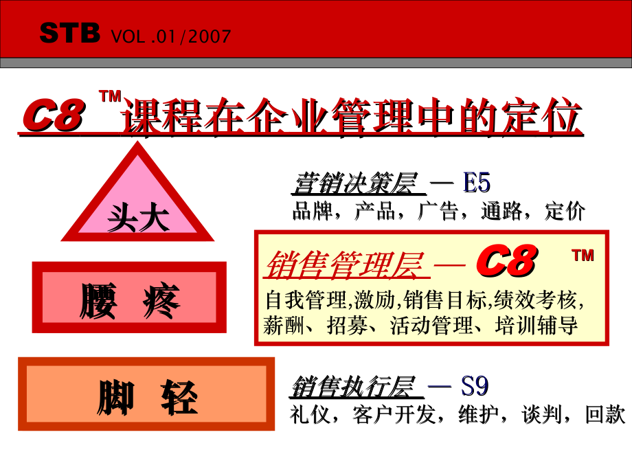 名企内训销售团队管理及团队打造889培训讲学_第3页