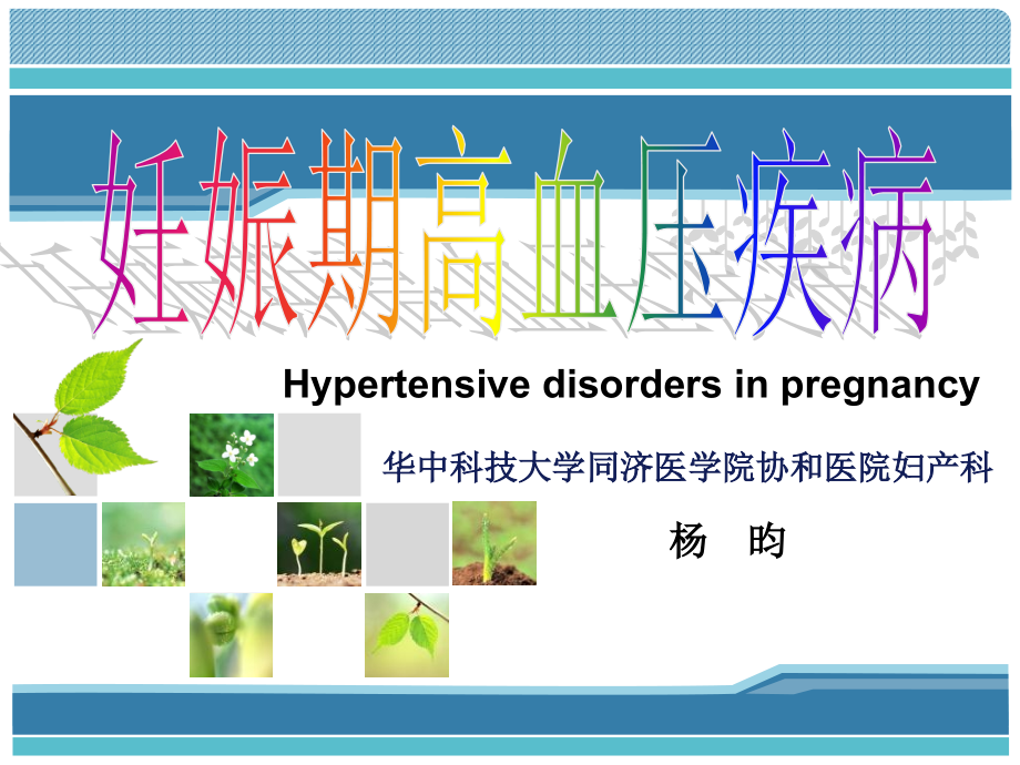 妊娠高血压疾病——杨昀教学文稿_第1页
