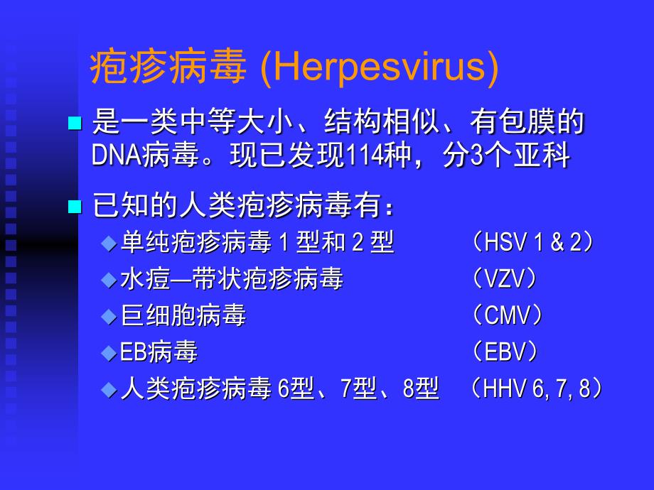 疱疹病毒HerpesVriruses讲解学习_第2页
