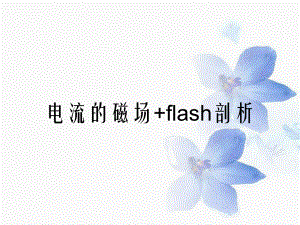 电流的磁场+flash剖析