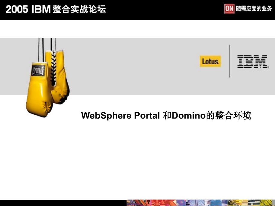 电子商务案例-IBM-WebSpherePortal和Domino的整合环境6教学案例_第1页