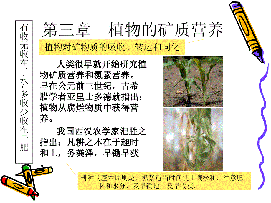 第二章植物的矿质营养1知识课件_第2页