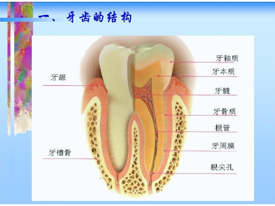 第十二章口腔卫生3研究报告_第2页