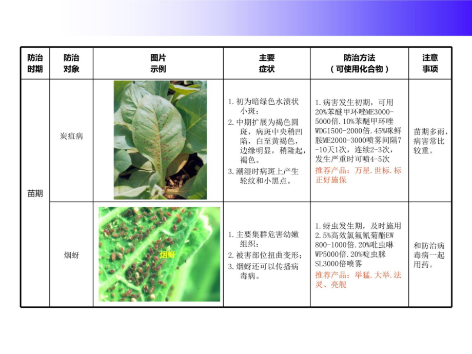 烟草病虫害防治标3讲课教案_第4页