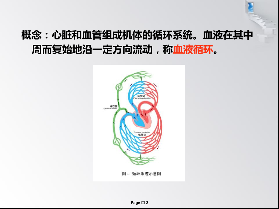 第四章血液循环(心脏电活动)4培训讲学_第2页