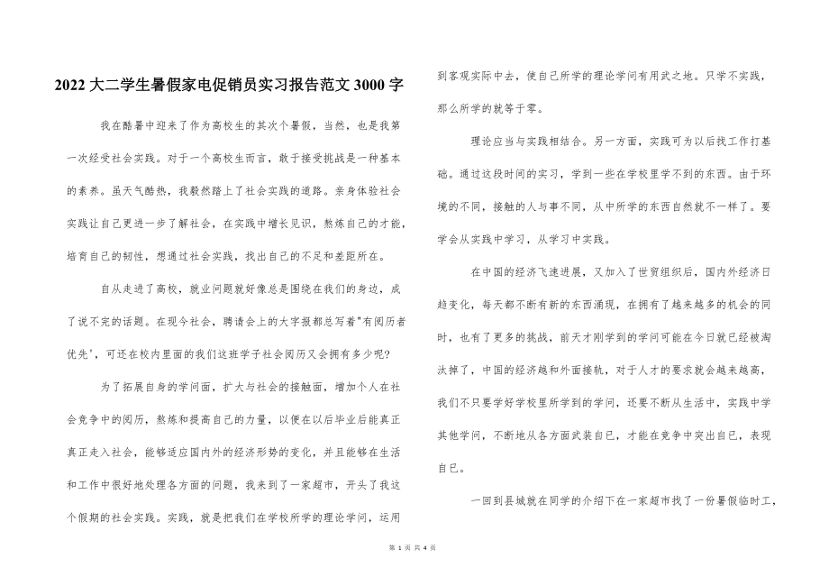 2022的大二学生暑假家电促销员实习报告范文3000字_第1页