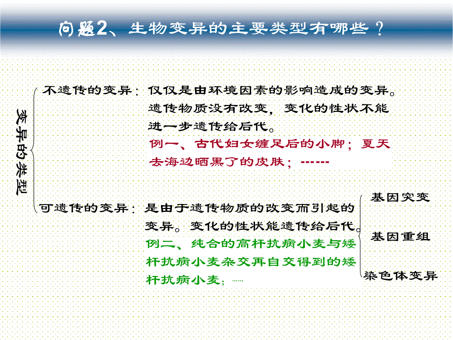 基因突变和基因重组doc_第3页