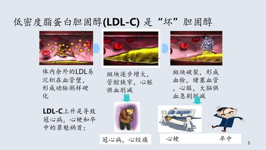 高血脂的护理PPT课件_第5页