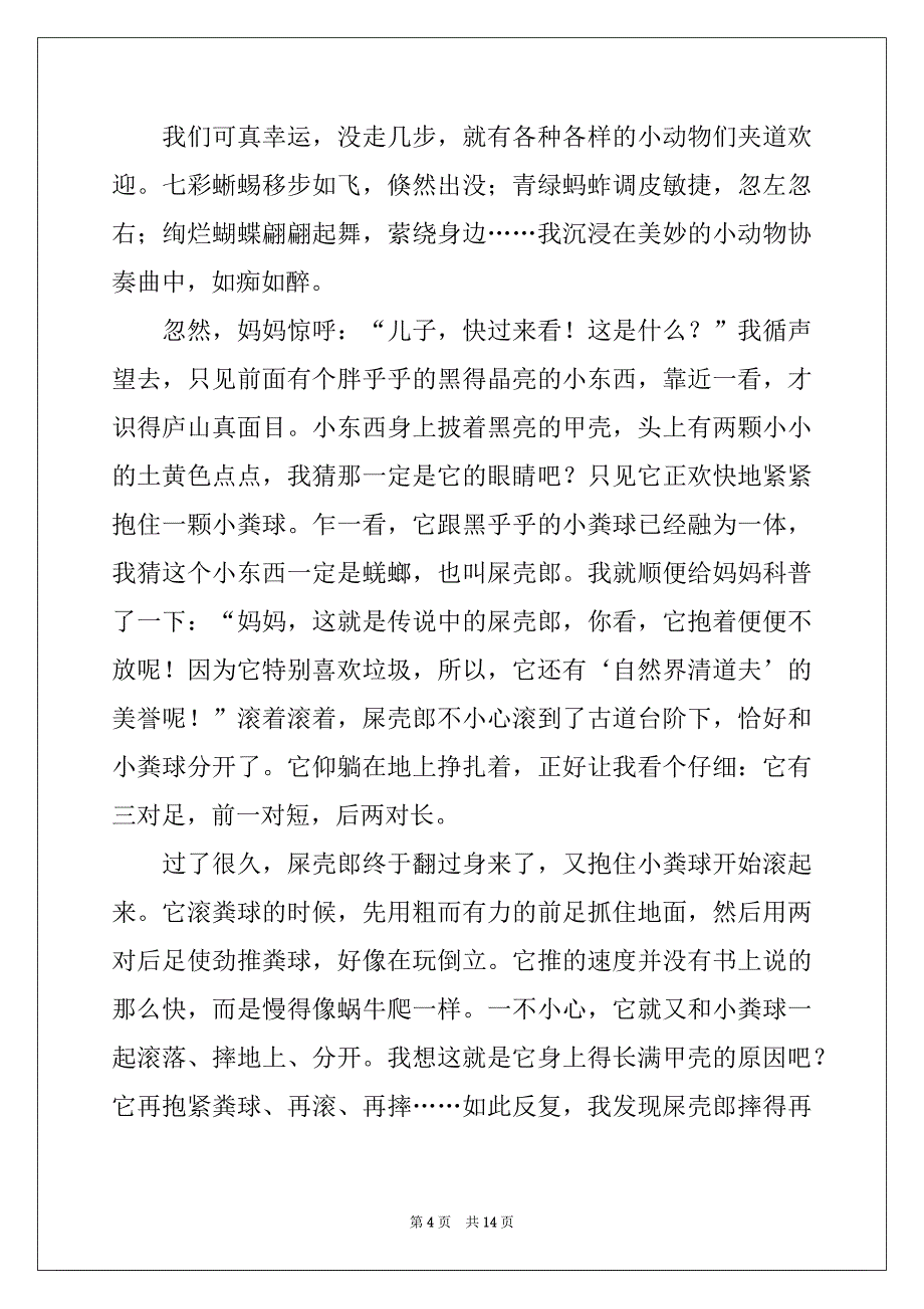 2022-2023年精选高中作文集锦八篇_第4页