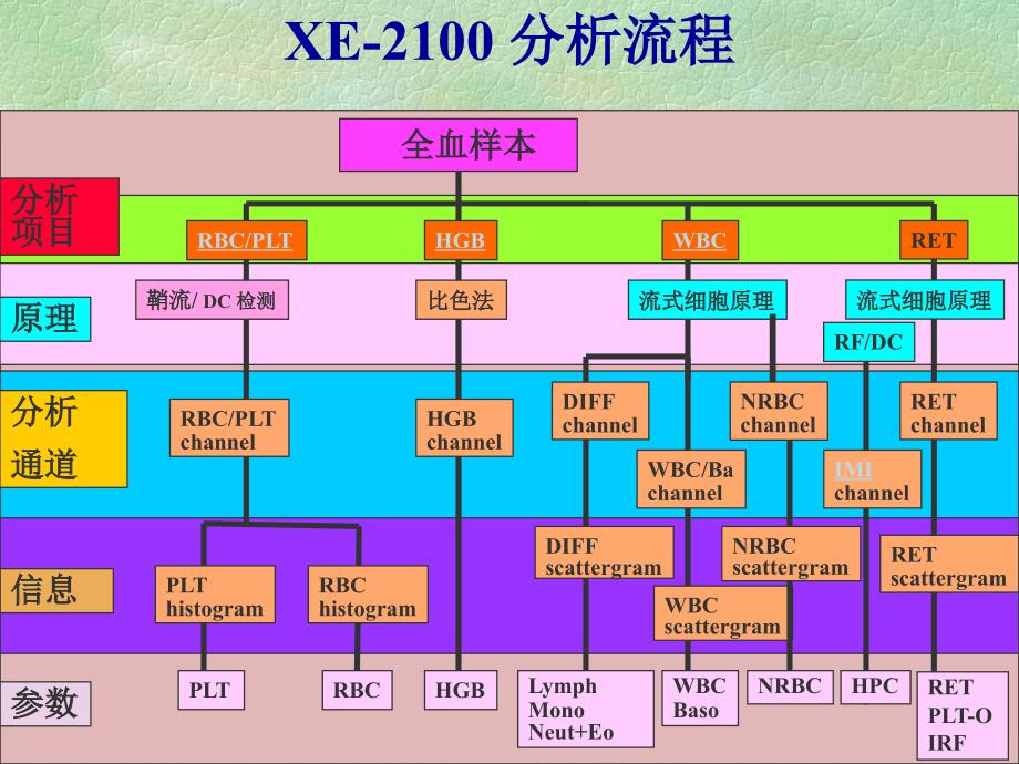 XE-2100检测原理_第4页
