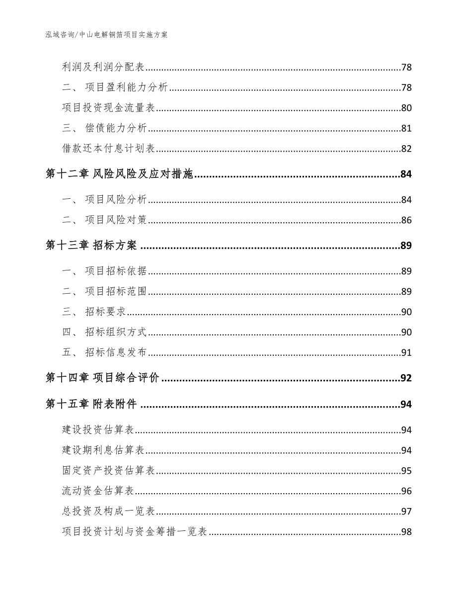 中山电解铜箔项目实施方案（参考模板）_第4页