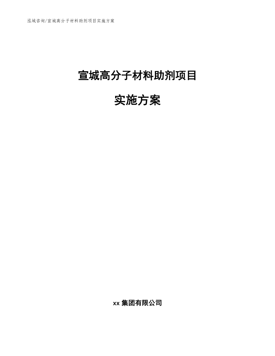 宣城高分子材料助剂项目实施方案【范文参考】_第1页