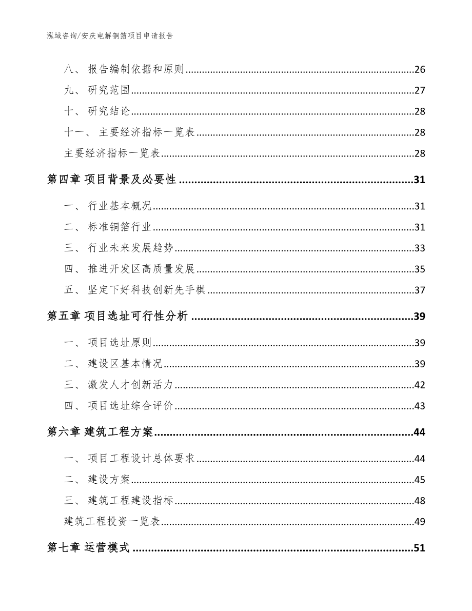 安庆电解铜箔项目申请报告（范文）_第2页