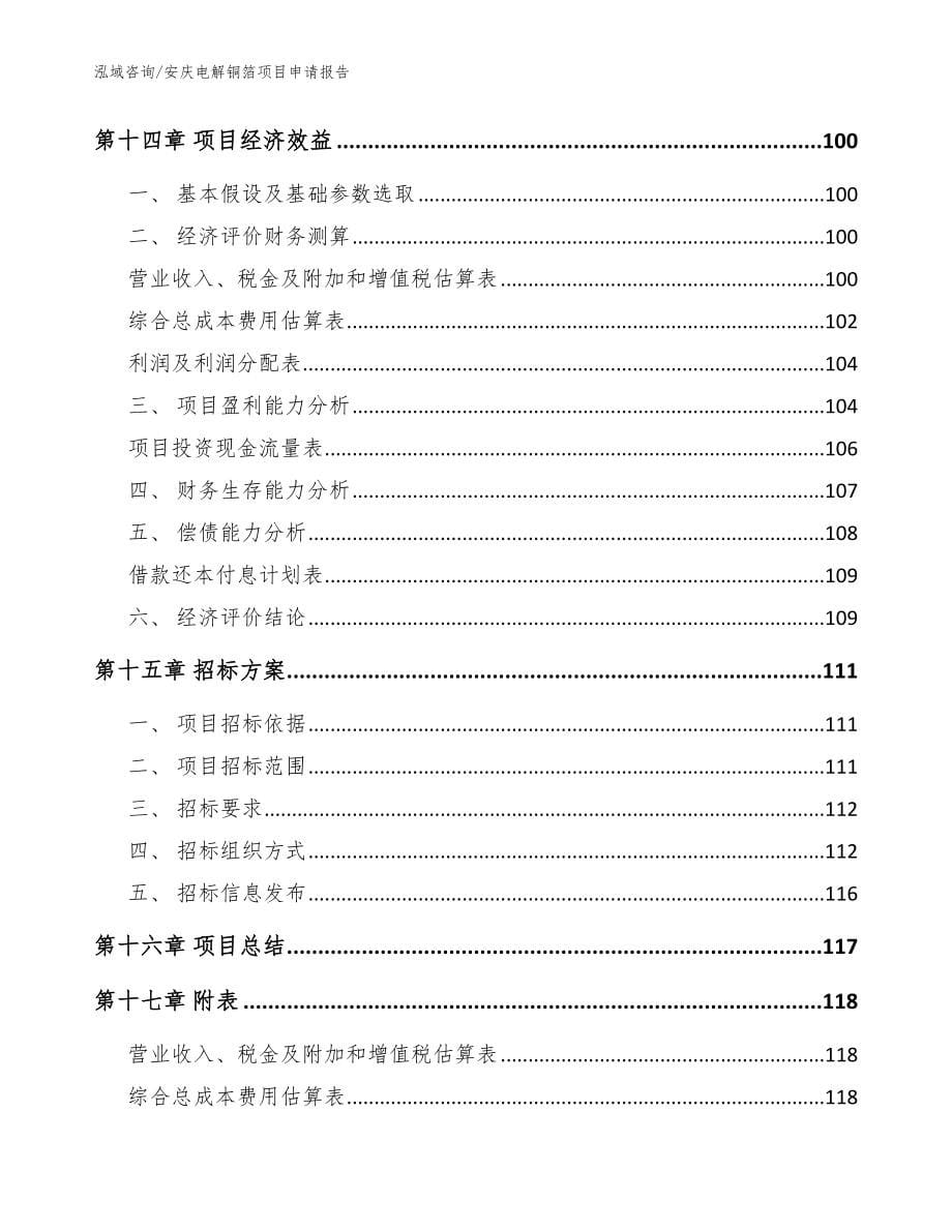 安庆电解铜箔项目申请报告（范文）_第5页