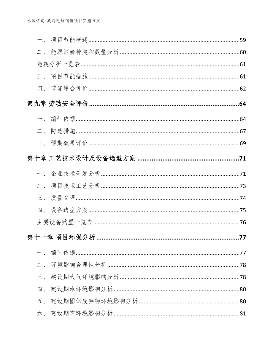 威海电解铜箔项目实施方案（范文参考）_第4页