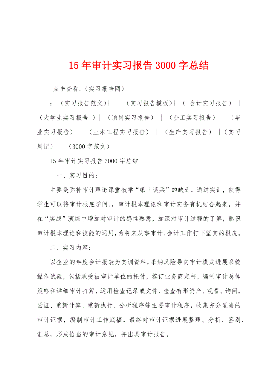 2022年审计实习报告3000字总结_第1页