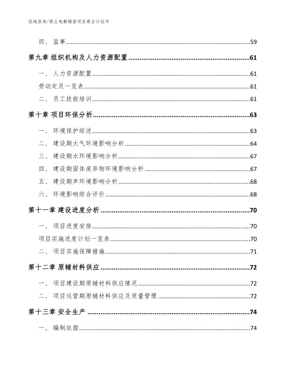 商丘电解铜箔项目商业计划书范文模板_第4页