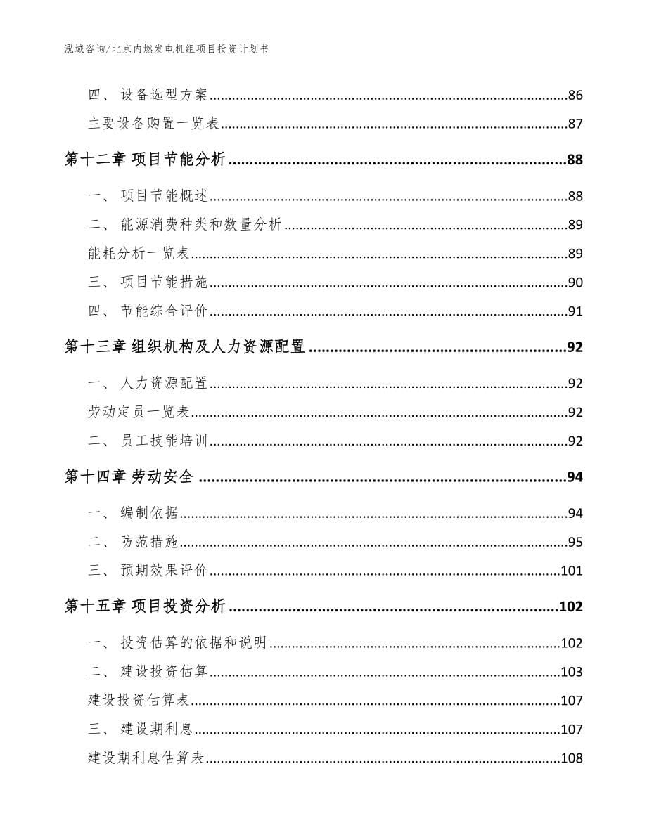 北京内燃发电机组项目投资计划书（参考模板）_第5页
