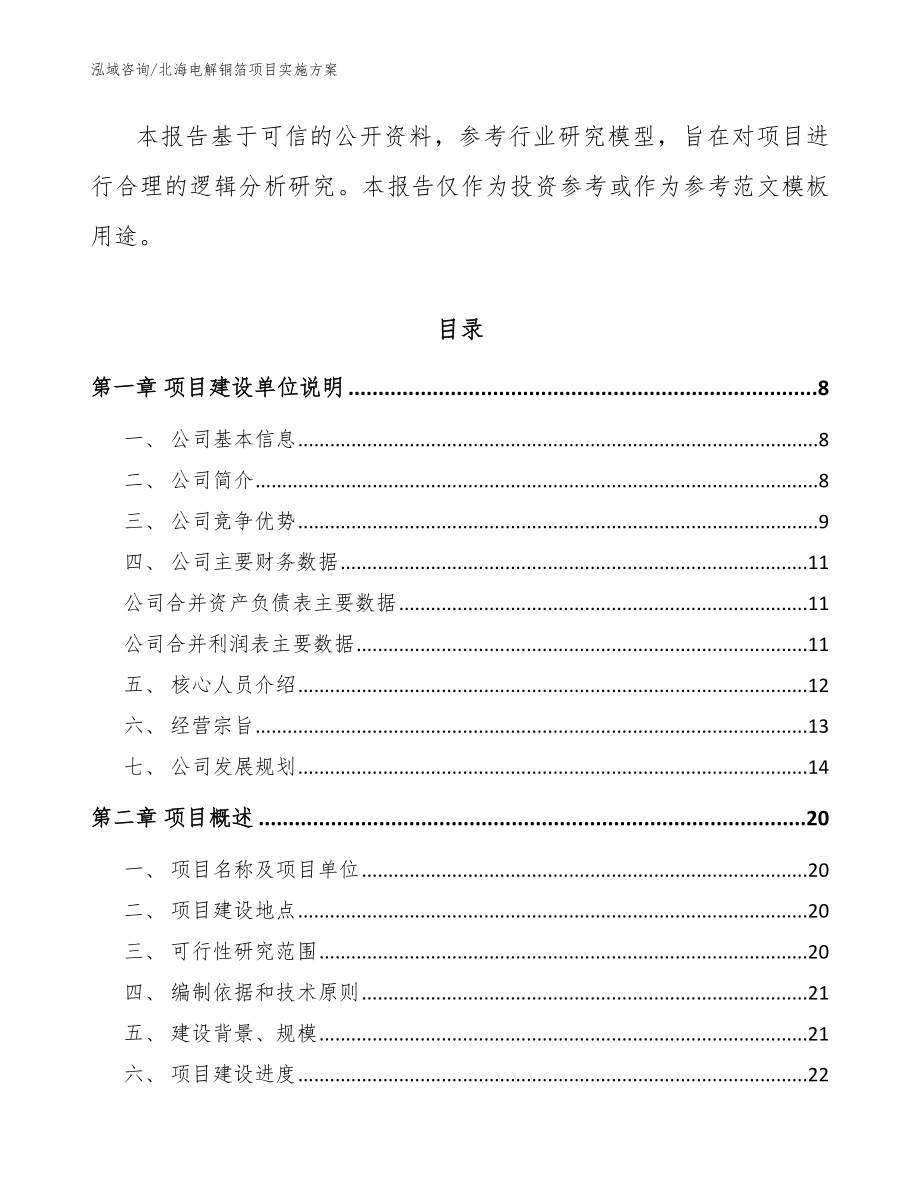 北海电解铜箔项目实施方案（范文）_第2页