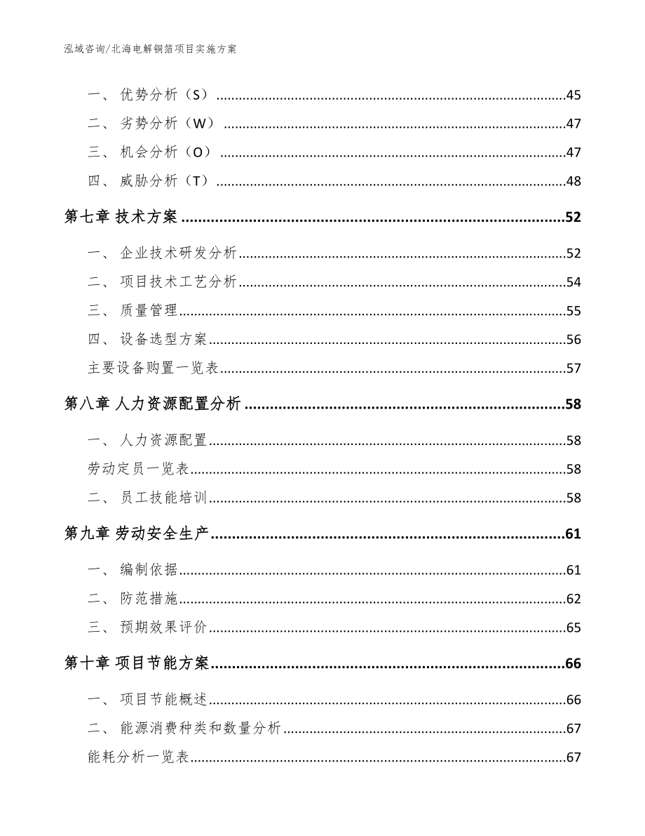 北海电解铜箔项目实施方案（范文）_第4页