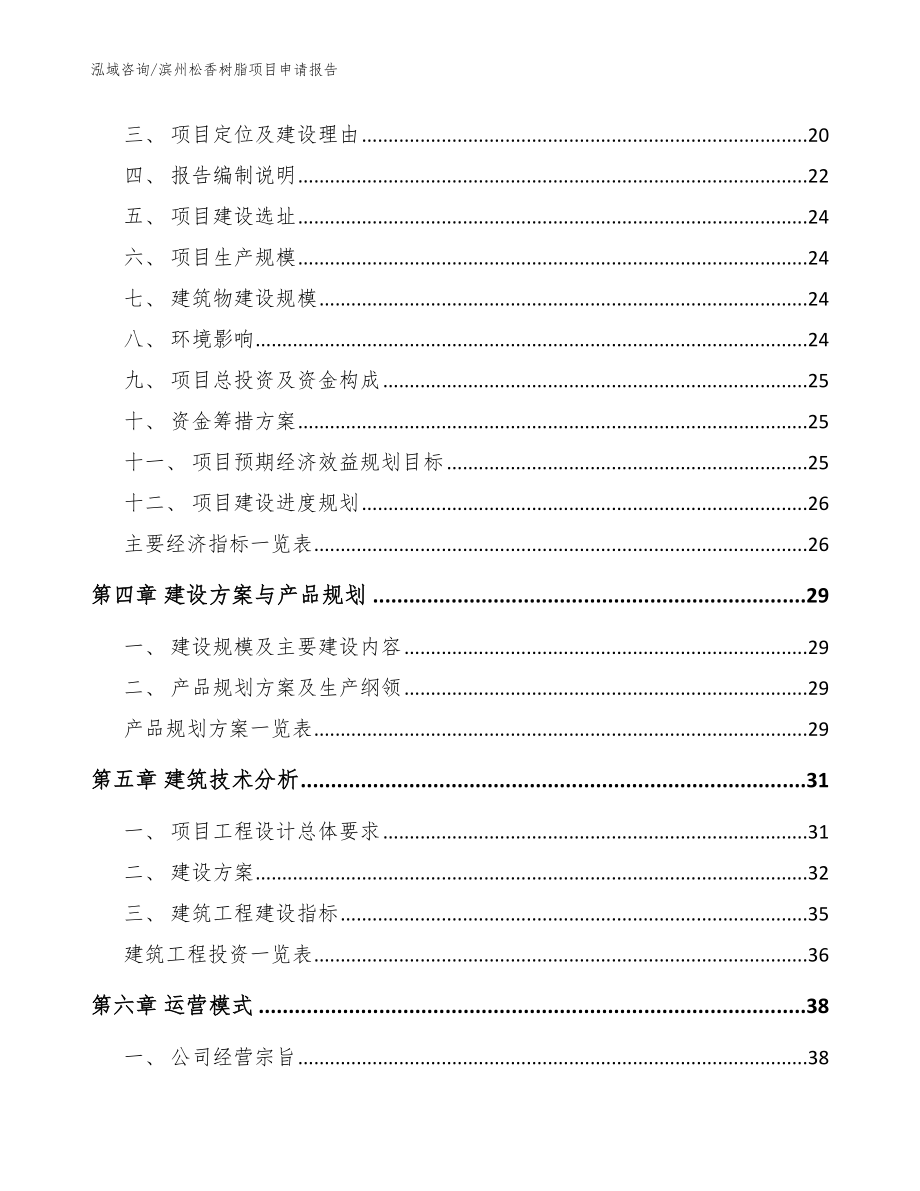 滨州松香树脂项目申请报告【范文】_第4页