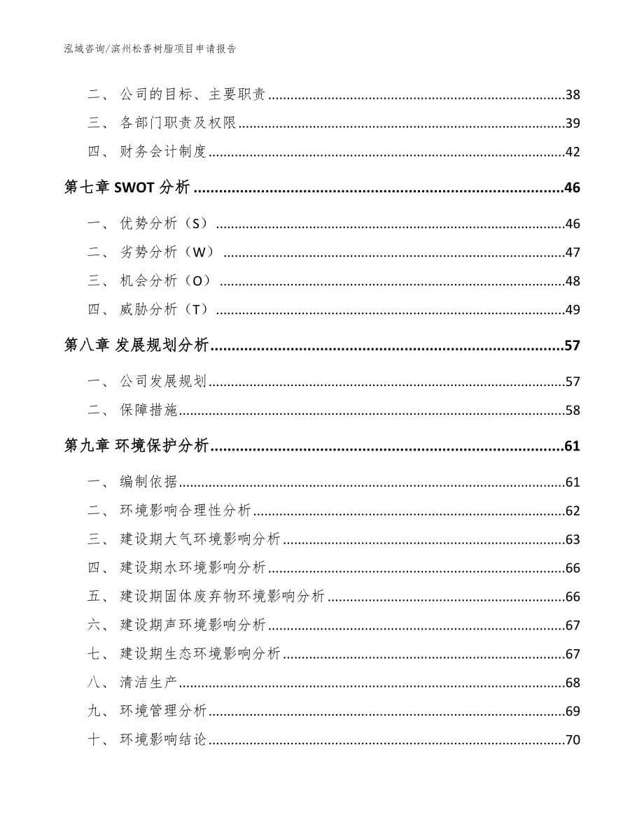 滨州松香树脂项目申请报告【范文】_第5页